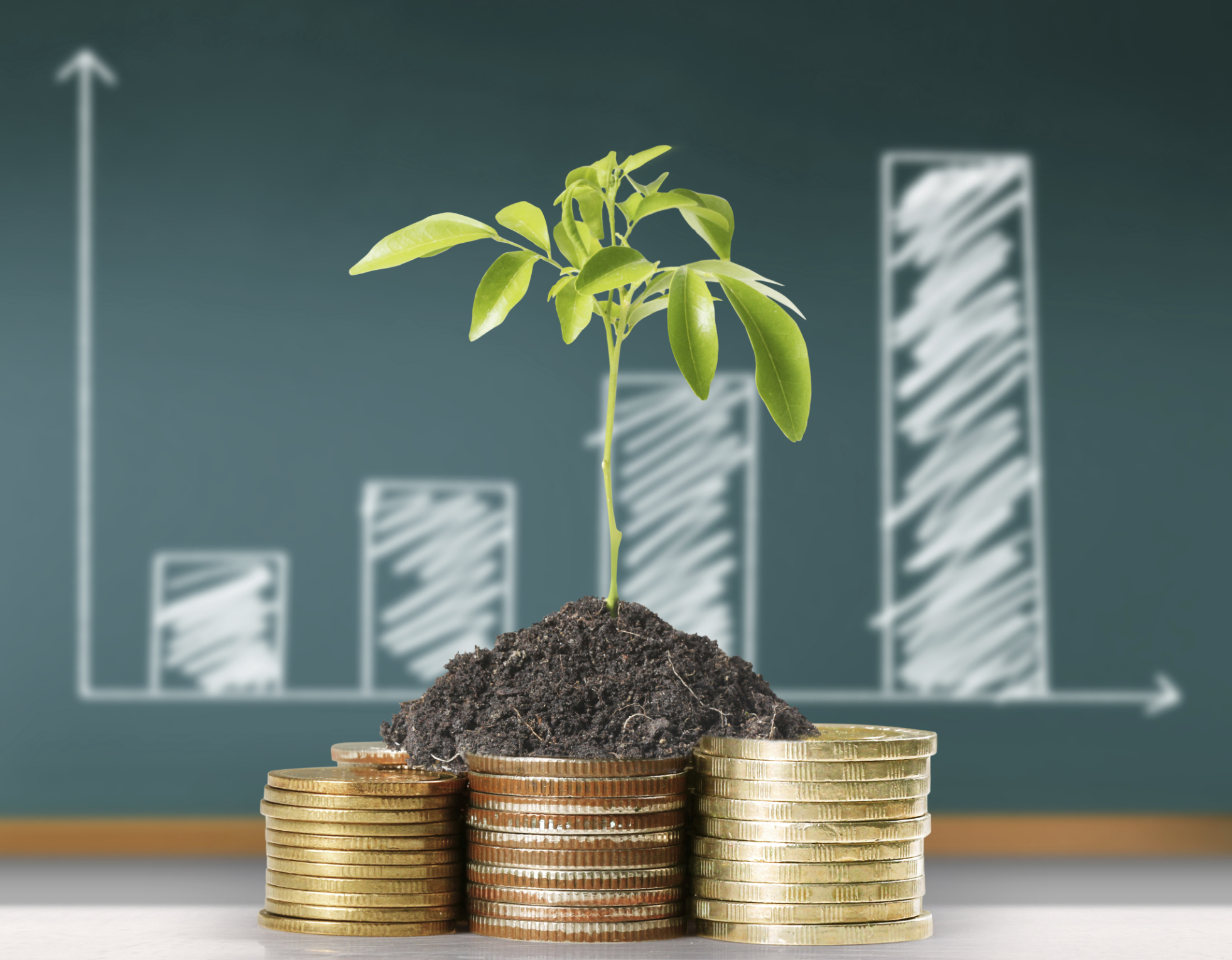 <p>Отдел финансов и инвестирования</p>